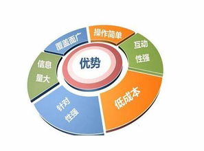 張掖服務(wù)好企業(yè)建站精華 新聞動態(tài)