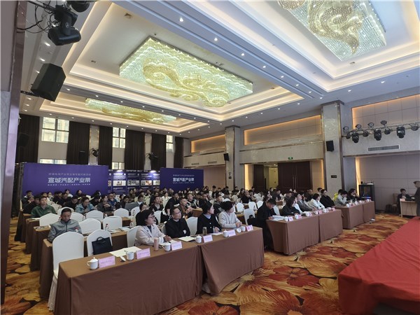 宣城汽配產(chǎn)業(yè)帶揚(yáng)帆出海，跨境電商專場對接賦能企業(yè)建站新篇